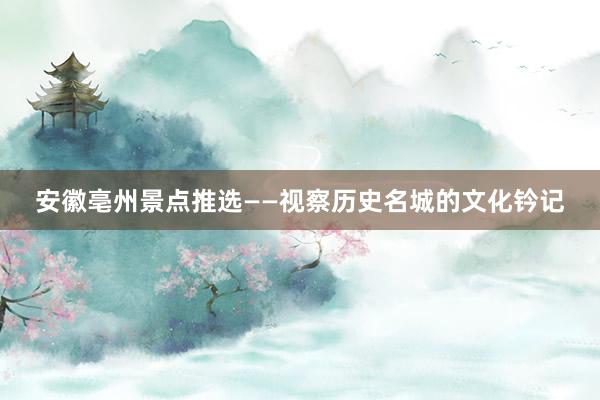 安徽亳州景点推选——视察历史名城的文化钤记
